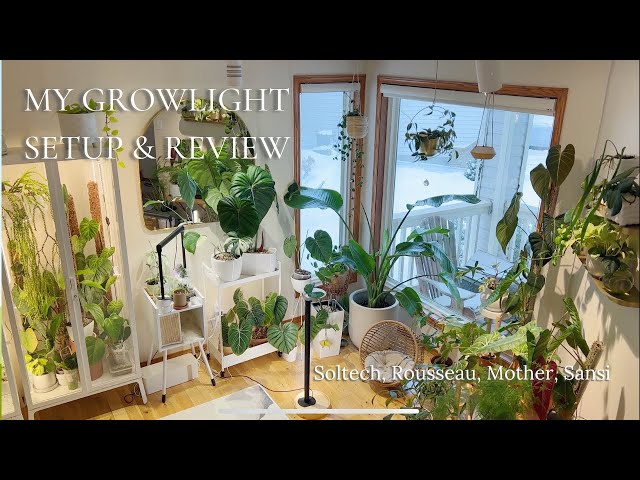 My Growlights Setup & Review | Soltech, Rousseau, Mother, Sansi
