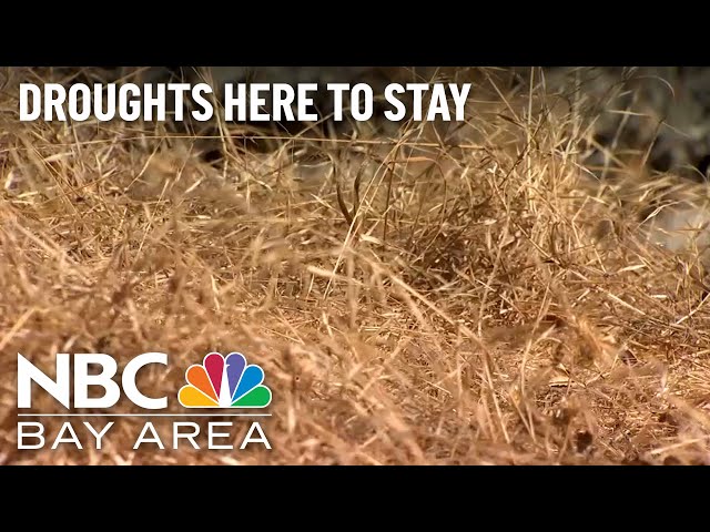 Drought Expected to Continue Even With a Wet Winter