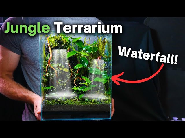 How To Make a Jungle Terrarium With a Flowing Waterfall! Step by Step Guide