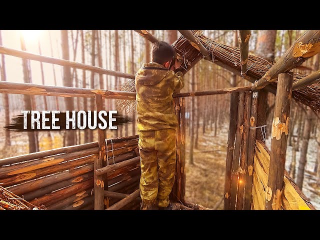 Building a tree house. I make the frame of the roof and walls. Part 3.