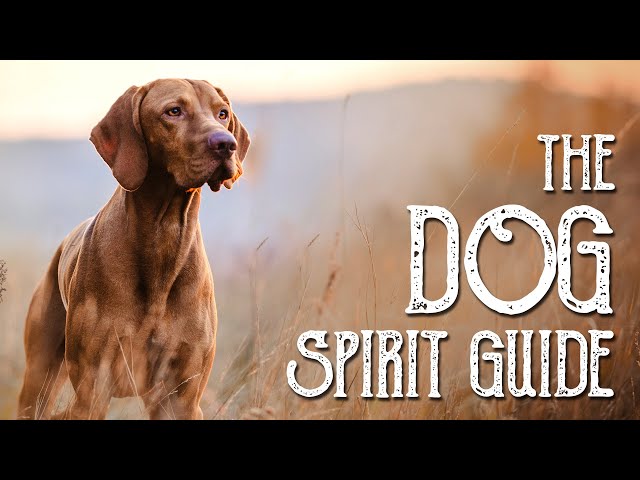 Dog Spirit Guide - Ask the Spirit Guides Oracle - Totem Animal - Power Animal - Magical Crafting