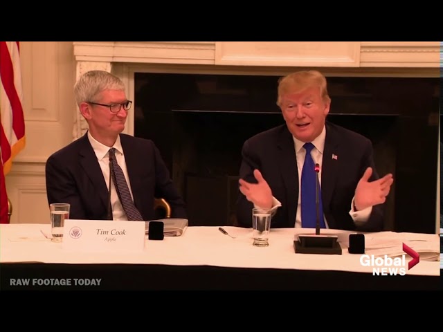Donald Trump mistakenly calls Apple CEO Tim Cook "Tim Apple"