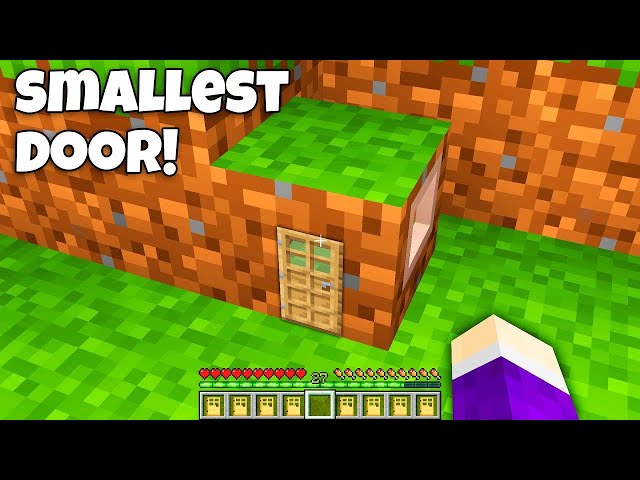 You WILL BE SHOCKED where DOES this SMALLEST DOOR LEADS in Minecraft ? NEW SECRET DOOR !