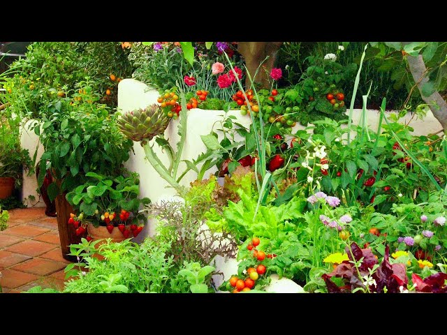 Grow More in the Same Space: Intensive Vegetable Gardening!🍅