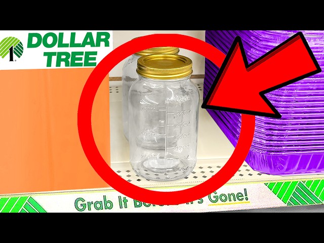10 Things You SHOULD Be Buying at Dollar Tree in March 2024