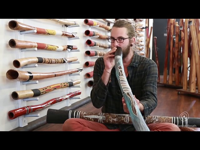 Didgeridoo Buyers Guide - The bell end - 1 of 10