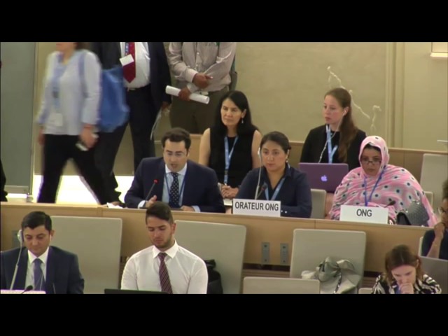 UN: "Israel's fault when Palestinian men beat their wives." Neuer: "Where is the data?"