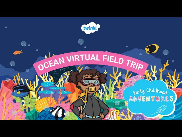 Ocean Virtual Field Trip | Twinkl Early Childhood Adventures | Twinkl USA