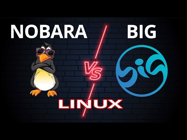 Nobara vs Big Linux | Which Is Better for Gaming !!!