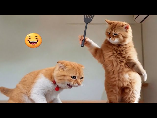 Try Not to Laugh Dogs and Cats - Best Cutest Animal Videos 😁