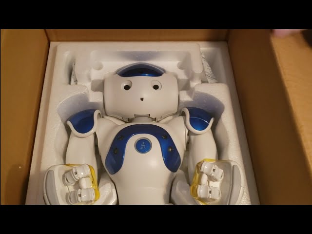🎉 "Nao Robot Surprise: Ben's Dream Unboxed!" 🤖✨