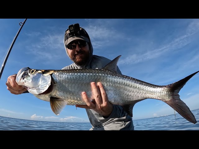 This Lure & Retrieve Combo Works Extremely Well For Tarpon (Fishing Report)