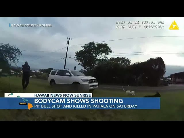 Police body-cam video shows moments before officer fatally shoots pit bull