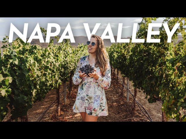 One day in Napa for UNDER $90 PER PERSON | Napa Valley Travel Guide
