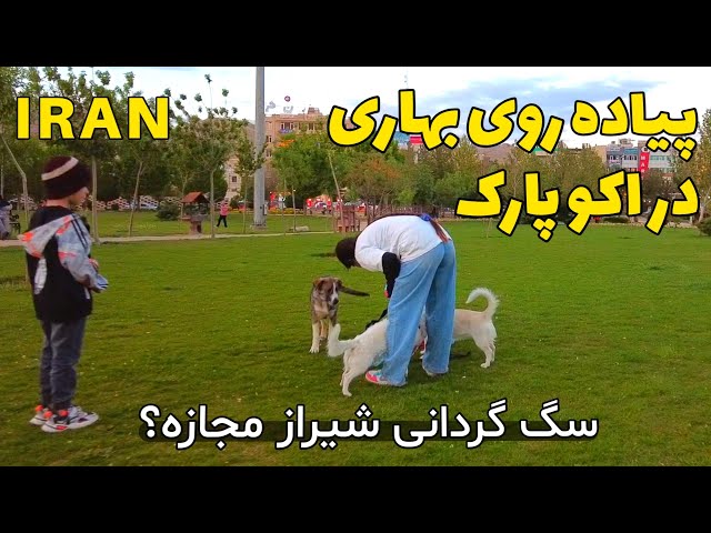 IRAN 2023 - Shiraz Walking in Eco Park اکو پارک شیراز