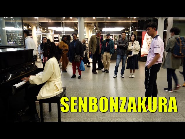 Using My PERFECT PITCH To Join Her To Play SENBONKARUKA on Piano | Cole Lam