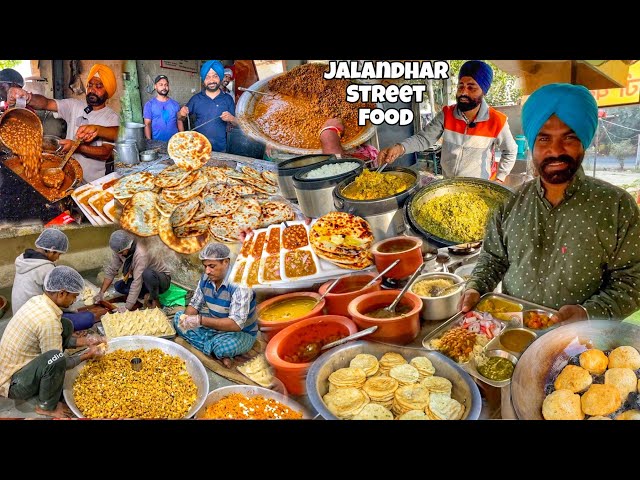 Unlimited Punjab Street Food | Top 5 Street Food in Jalandhar | Bhature Chole Kulcha Chole Etc