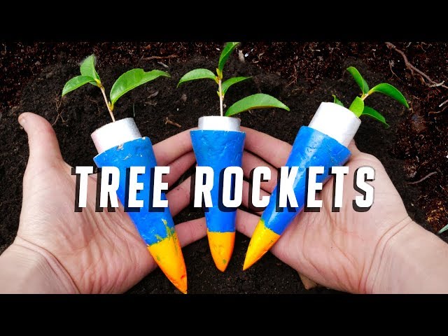 Can Rockets be used to Plant Trees?