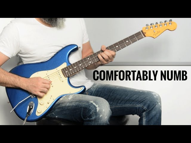 Pink Floyd Comfortably Numb... But It's a 10 Minutes Guitar Solo! Fender Ultra