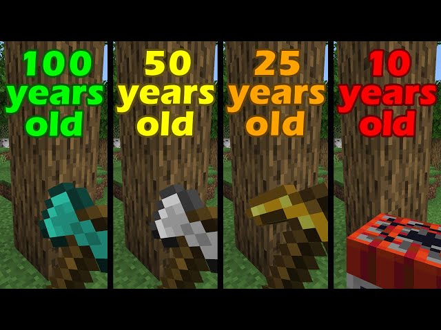 Minecraft at Different Ages be like: