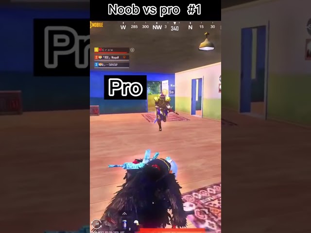 Noob player vs pro player