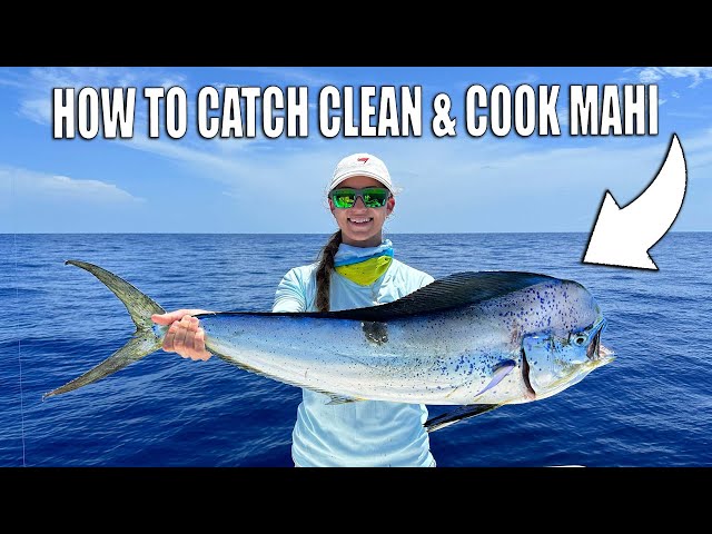How to Catch Clean Cook Mahi Tacos