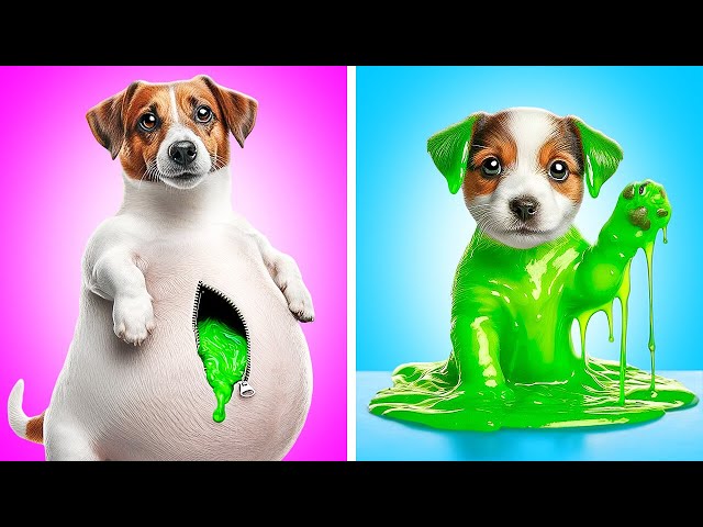 PLEASE Save This Cute Puppy 🐶 *Crazy Dogs Hacks And Gadgets For Pet Owners*