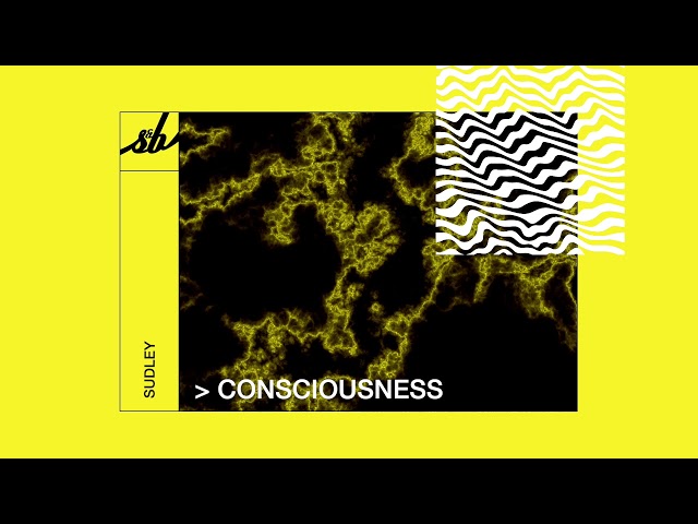 Sudley - Consciousness