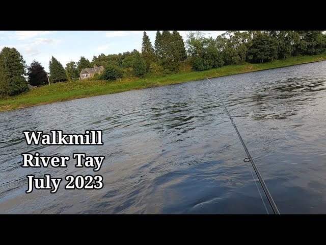 Scottish Salmon Fishing, River Tay 2023