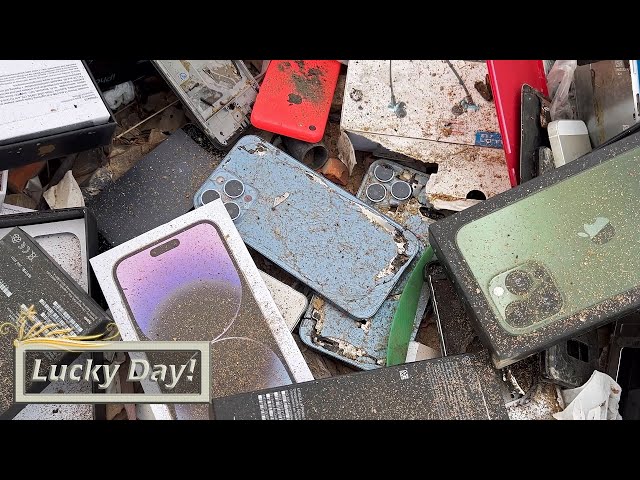 Lucky Day! Found many broken iPhones in the garbage dump! - Restoring iPhone 13 Pro Max