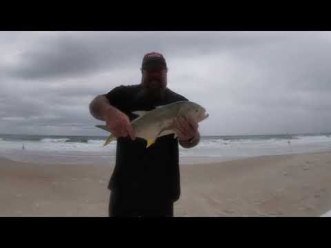 Surf fishing Ormond Beach pt. 2 ...What's up Jack?