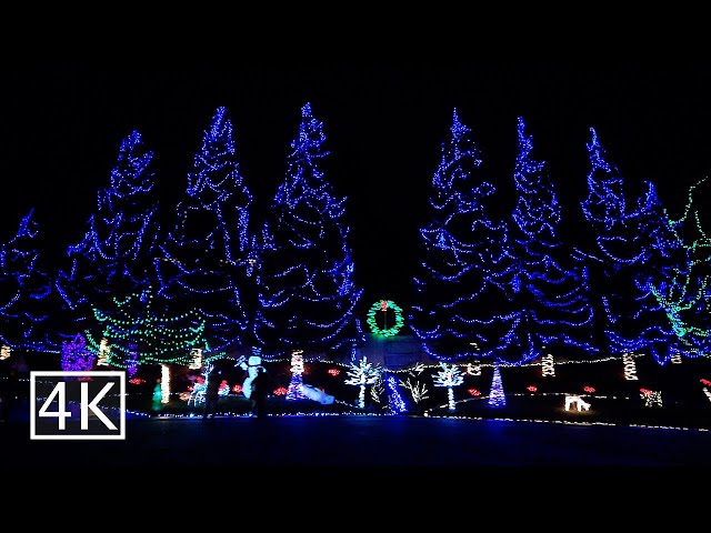 [4K] 🎄 Christmas Lights Folsom California