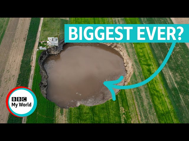 Sinkhole scares: Five of the BIGGEST so far in 2021 - BBC My World #shorts
