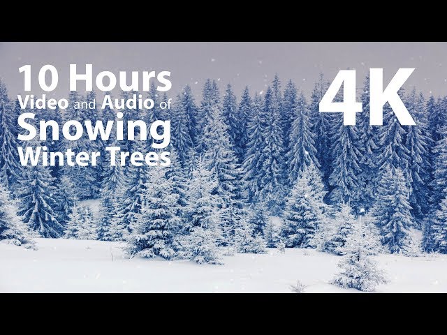4K HDR 10 hours - Snowing on Winter Trees - relaxing, gentle, calming