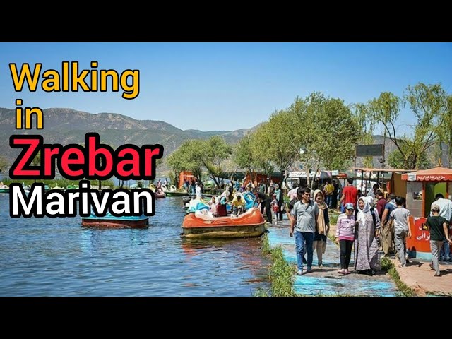 iran | walking in the Zrebar Lake / marivan (2022) زریبار /مریوان