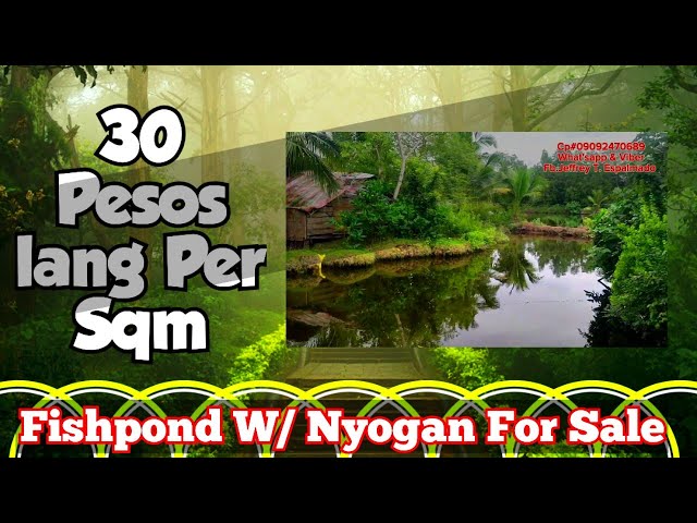 Farm lot For Sale V#107🥰Fishpond W/ Nyogan For only 30 pesos Per sqm W/ kubo,electric & Water Source