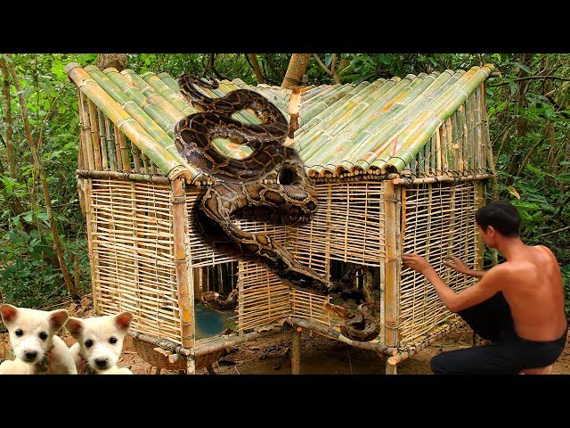 Build Bamboo Python Snake House And Build Mini Swimming Pool For Python Snake