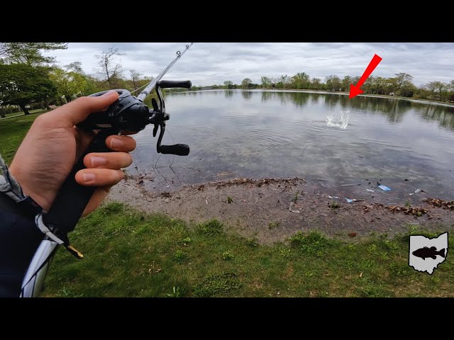 Targeting Pre-Spawn Bass In Ohio! (Spring Bass Fishing)