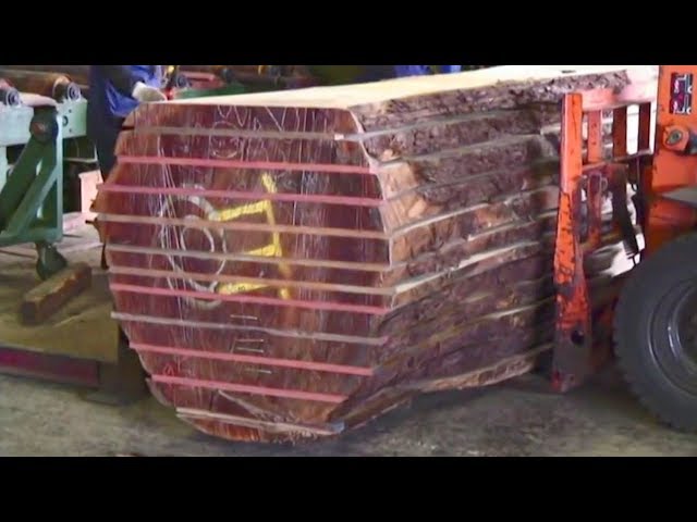 Japanese Fastest Biggest Wood Sawmill Machine Work || Amazing Inside Large Tree Processing Factory
