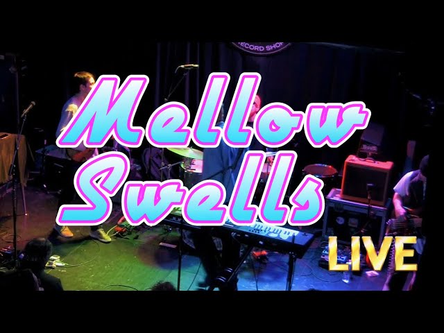 Mellow Swells LIVE-FULL SHOW at The Pour House