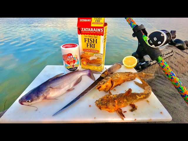 Catch n' Cook Fried WHOLE Baby CATFISH!