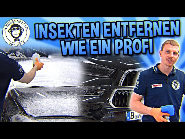 With this professional method you remove insects from the paint | KochChemie | AUTOLACKAFFEN
