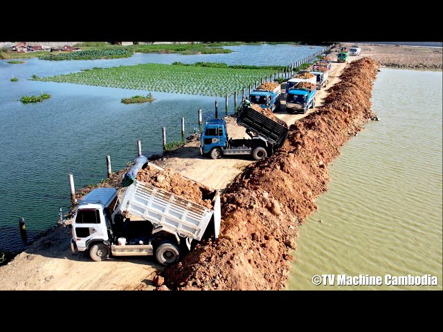 Wonderful Project Backfilling Construction Of Machinery Team Dozer & Truck 5T Spreading Into Water