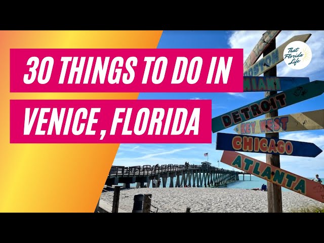 30 Things to Do in Venice, Florida (BONUS Ideas!)