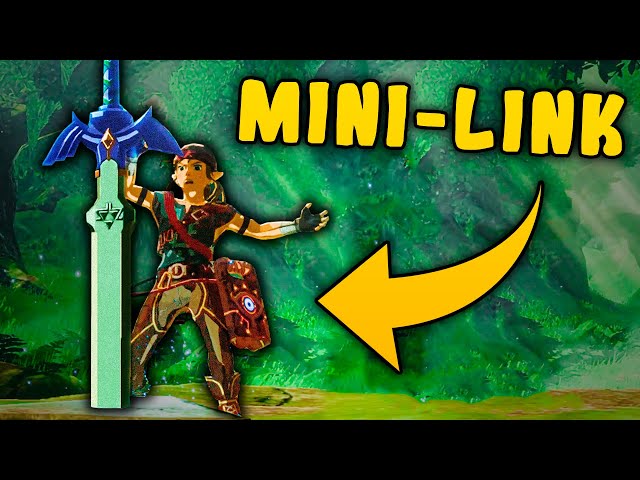 Kann Mini-Link das Master-Schwert ziehen?