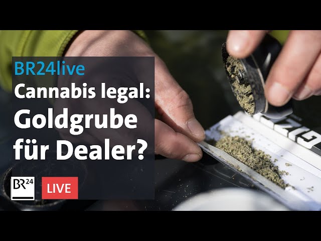 Cannabis erlaubt - Hanfshops öffnen ohne legales Gras | BR24live