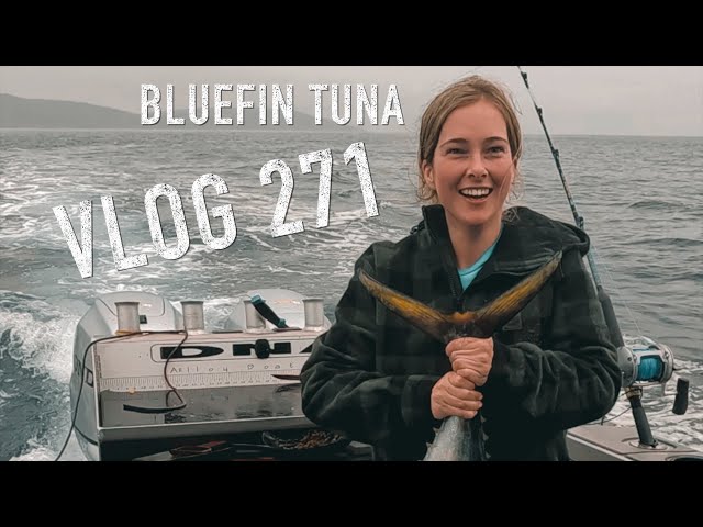 Bluefin Tuna - New Zealand Adventure VLOG 271 the knotty knots camp fish South Westland Josh James