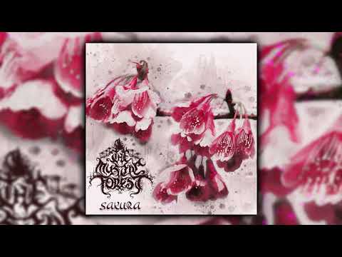 The Mystic Forest - Sakura (Full album)