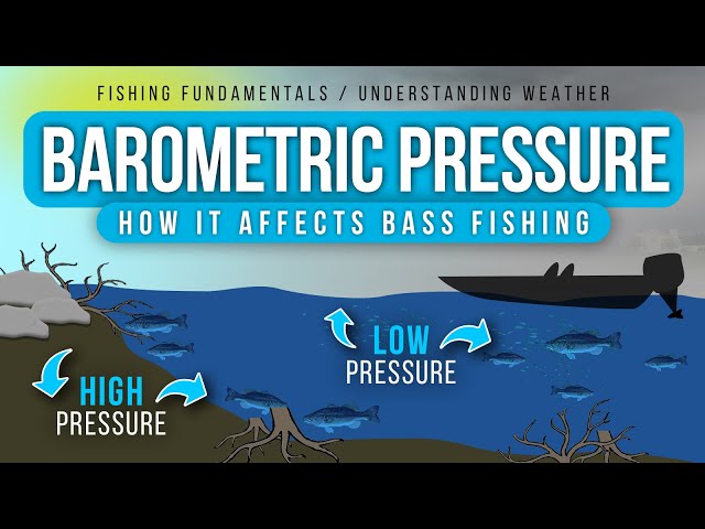 Understanding How BAROMETRIC PRESSURE affects Fishing (High & Low Pressure)
