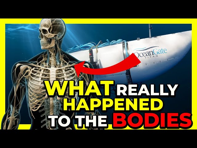 What REALLY HAPPENS to the HUMAN BODY when a sub IMPLODES